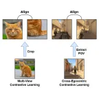 X-Ego: Acquiring Team-Level Tactical Situational Awareness via Cross-Egocentric Contrastive Video Representation Learning